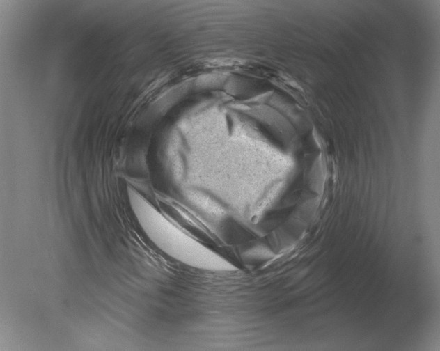 X0000080741202200701051135