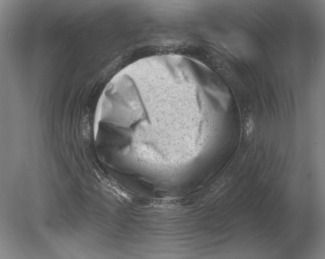 X0000080741204200701051135