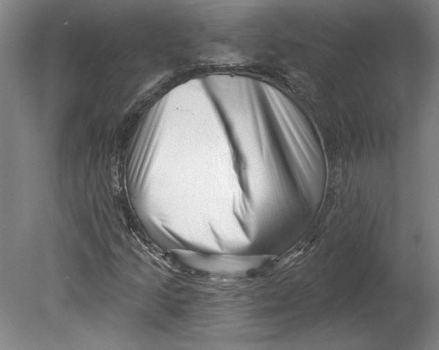 X0000080741205200701051135