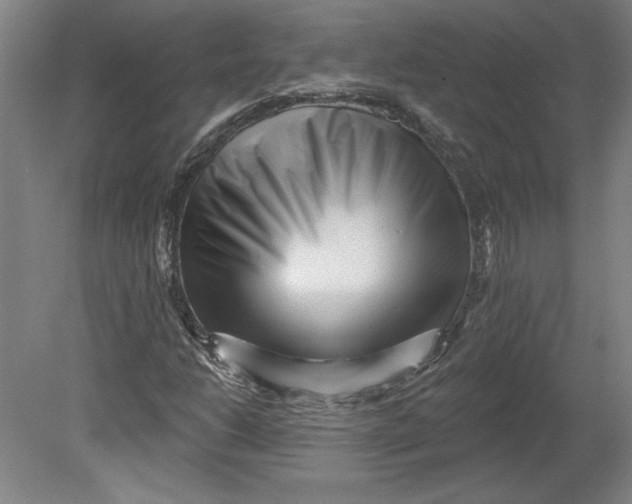 X0000080741206200701051135