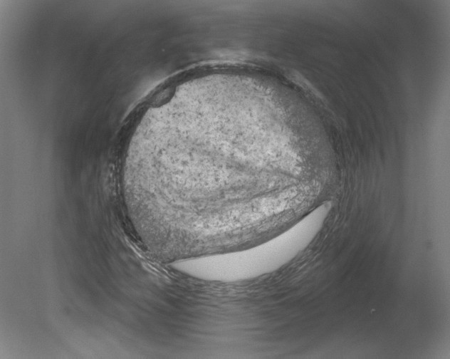 X0000080741208200701051135