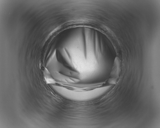 X0000080741210200701051135