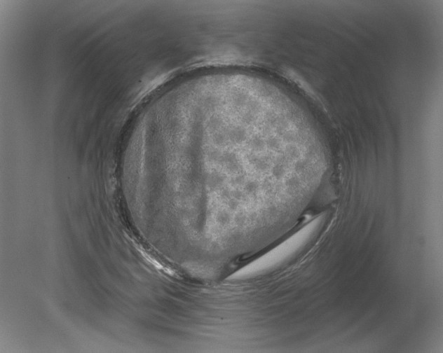 X0000080741213200701051136