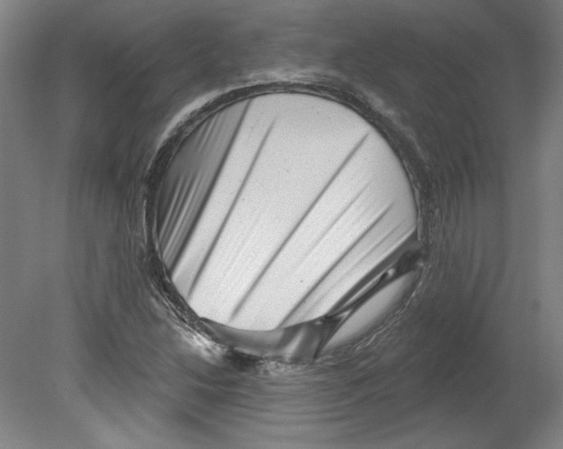 X0000080741214200701051136