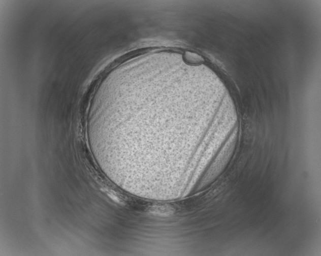 X0000080741215200701051136