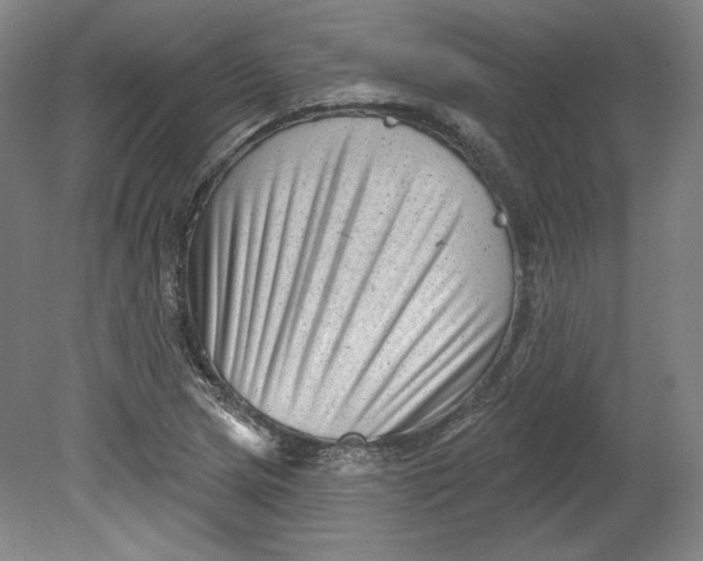 X0000080741217200701051136