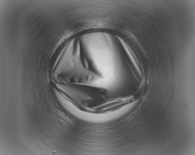 X0000080741218200701051136