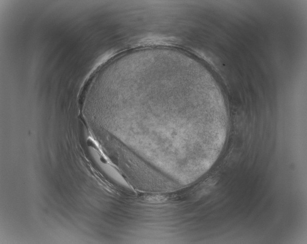 X0000080741219200701051136