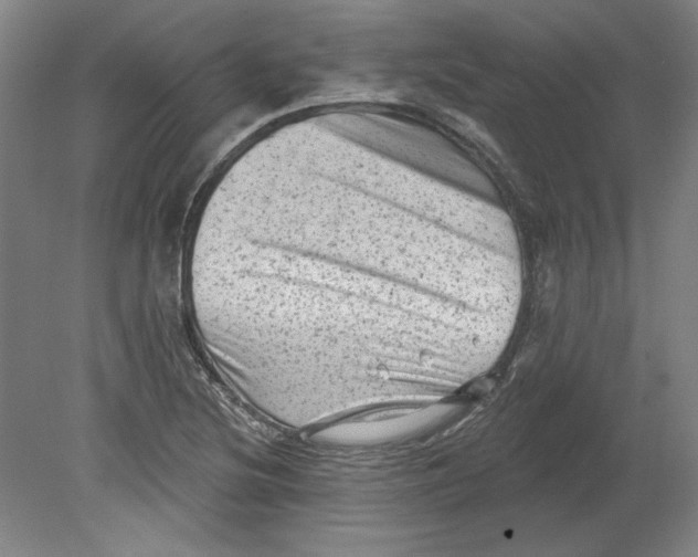 X0000080741220200701051136