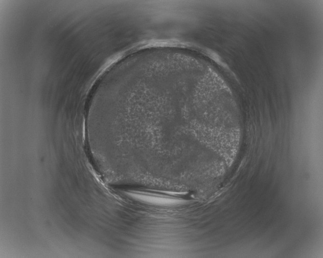 X0000080741221200701051136