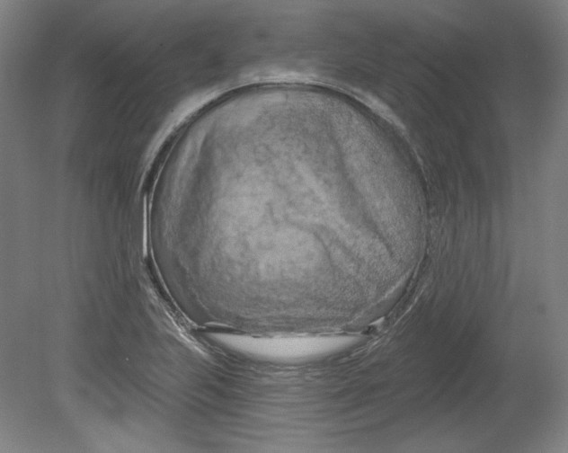 X0000080741223200701051136