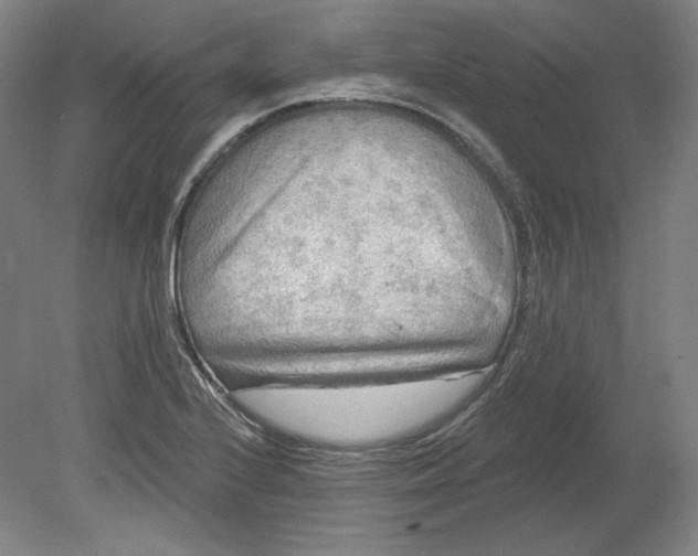 X0000080741224200701051136