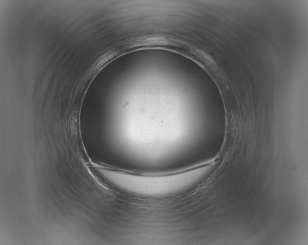 X0000080741225200701051136