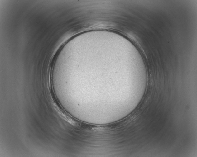 X0000080741227200701051136