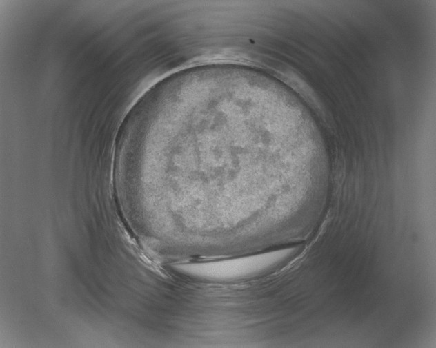 X0000080741228200701051136