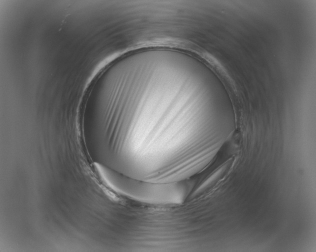 X0000080741230200701051136