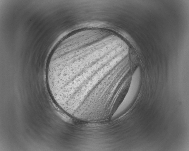 X0000080741232200701051136