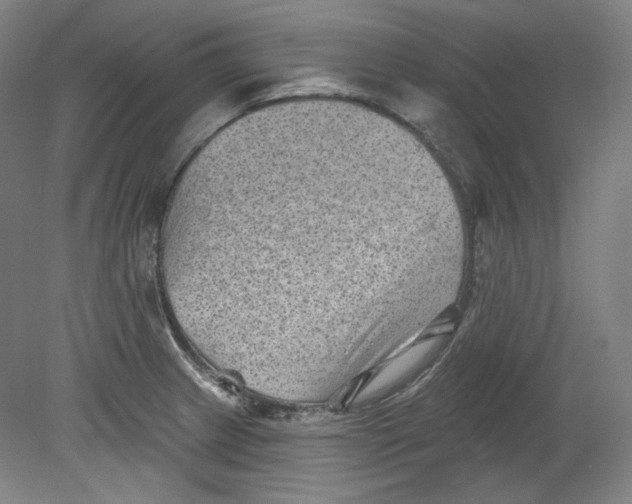 X0000080741233200701051136