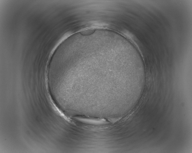 X0000080741235200701051136