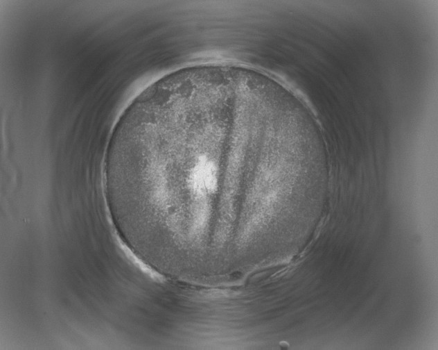 X0000080741239200701051136