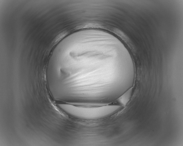 X0000080741241200701051136