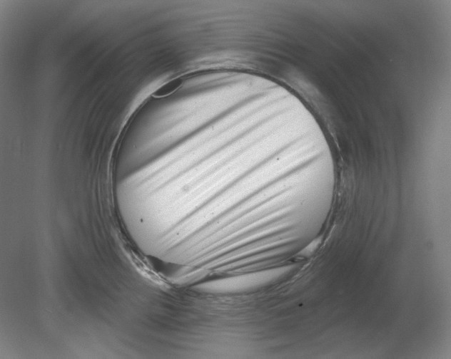 X0000080741242200701051136