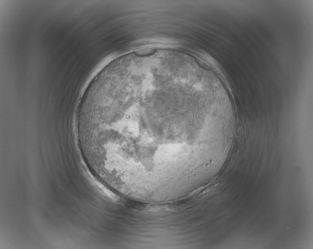 X0000080741243200701051136