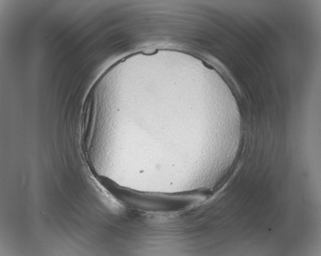 X0000080741244200701051136