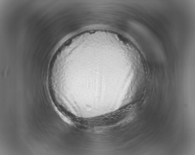 X0000080741245200701051136