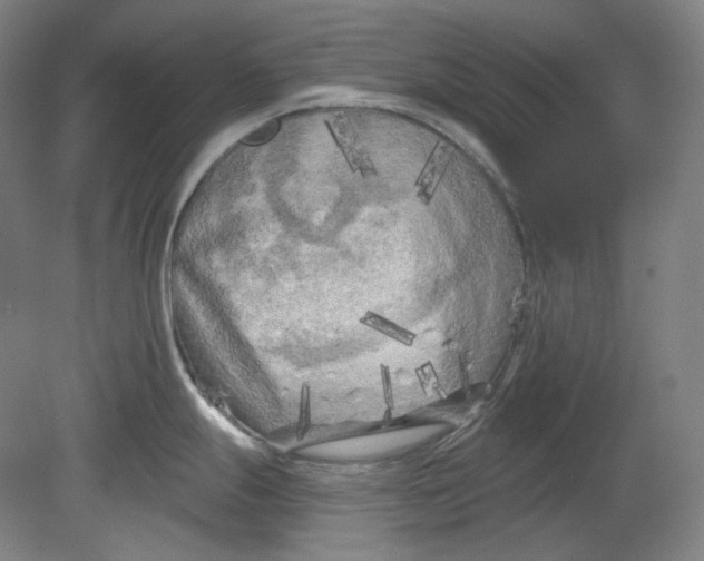 X0000080741247200701051136