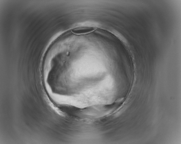 X0000080741248200701051136