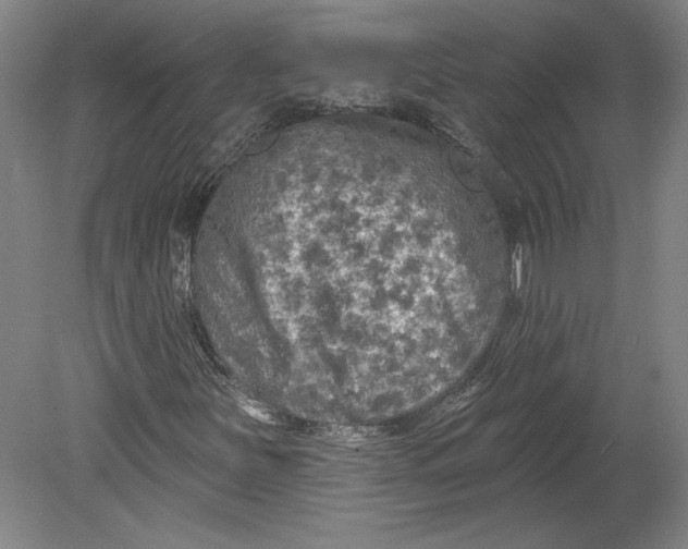 X0000080741251200701051135