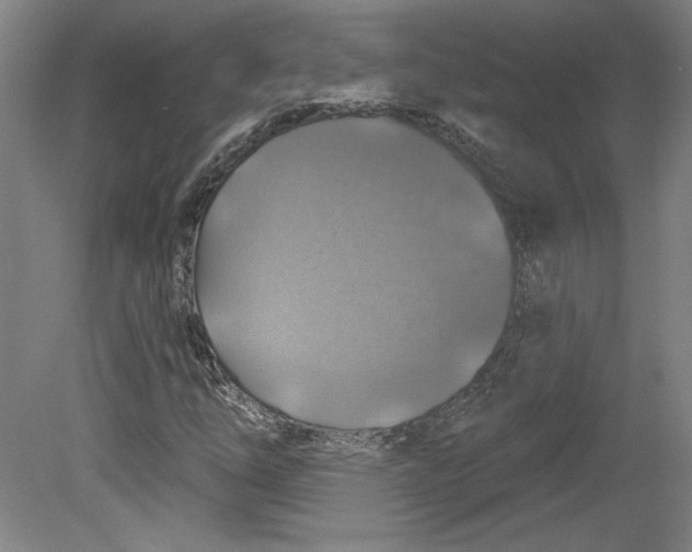 X0000080741254200701051135