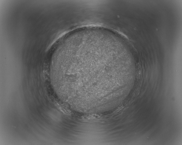 X0000080741255200701051135