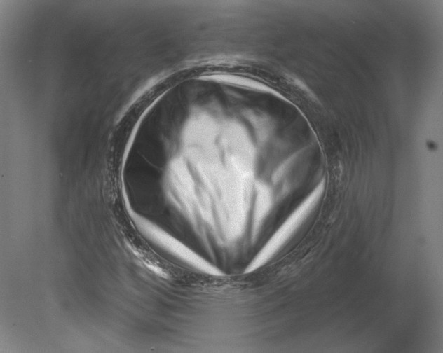 X0000080741256200701051135