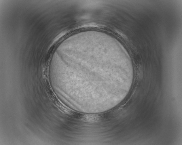 X0000080741258200701051135