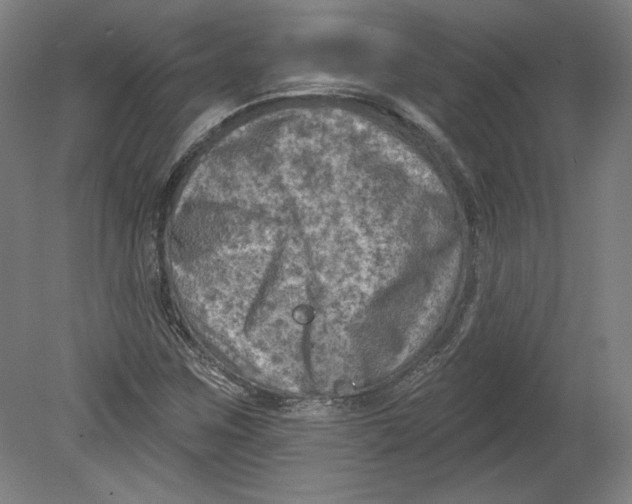 X0000080741259200701051135