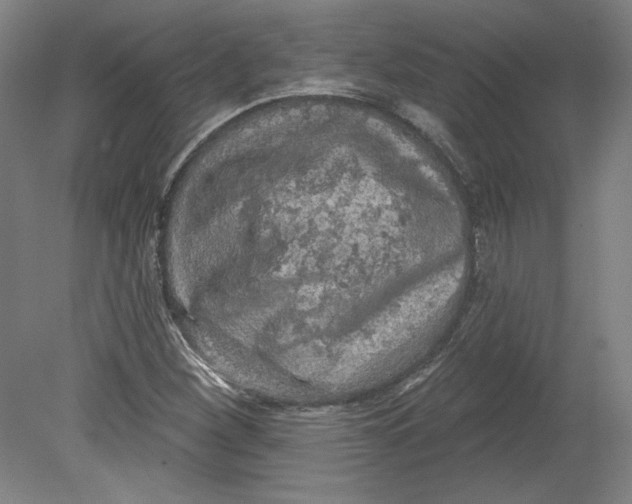 X0000080741260200701051135