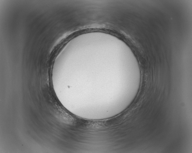 X0000080741262200701051135