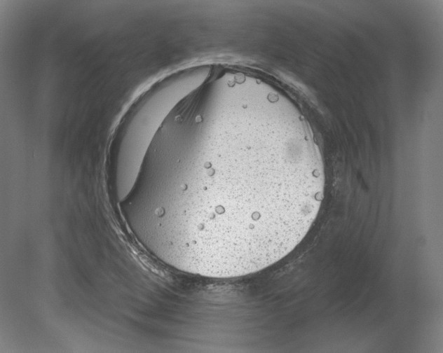 X0000080741264200701051135