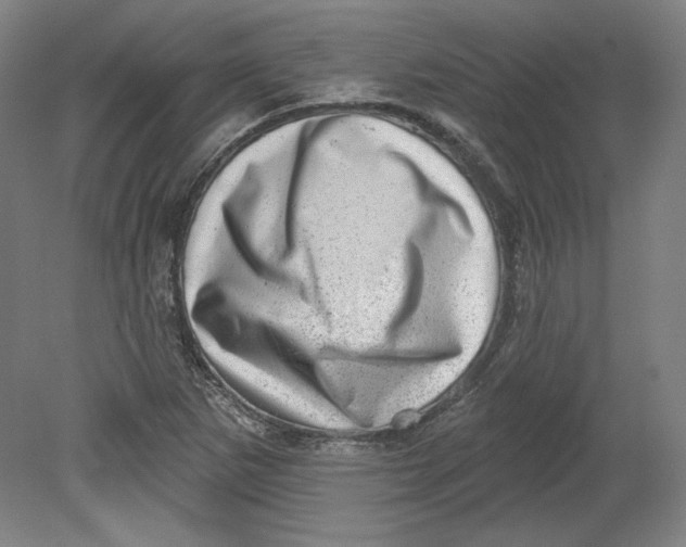 X0000080741265200701051135