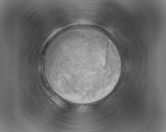 X0000080741266200701051135