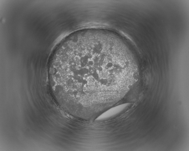 X0000080741267200701051135