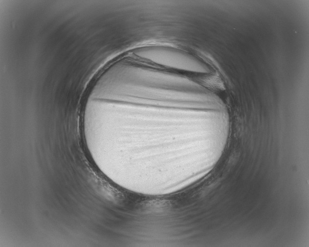 X0000080741268200701051135