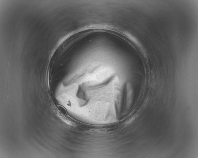 X0000080741272200701051135