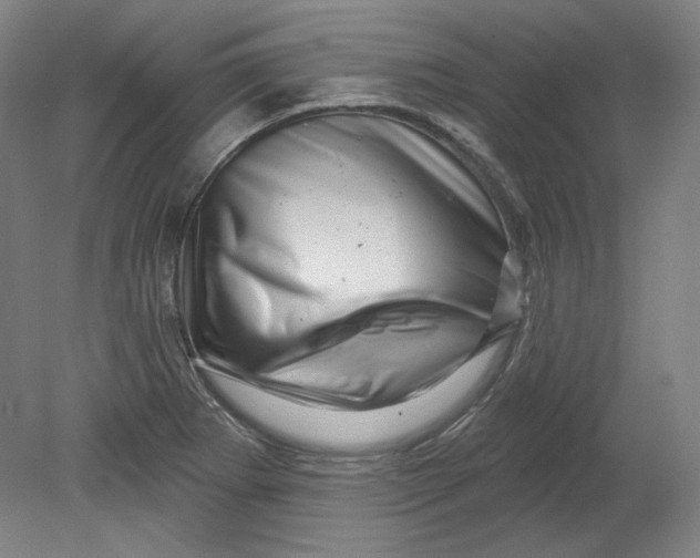 X0000080741273200701051135