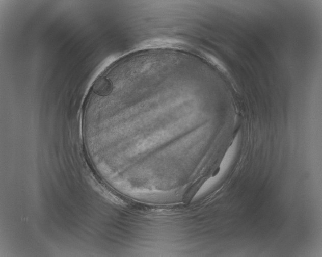 X0000080741275200701051135