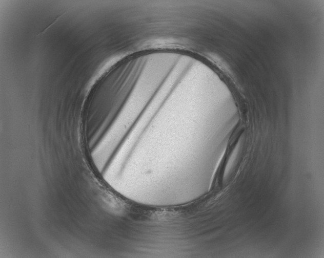 X0000080741277200701051135