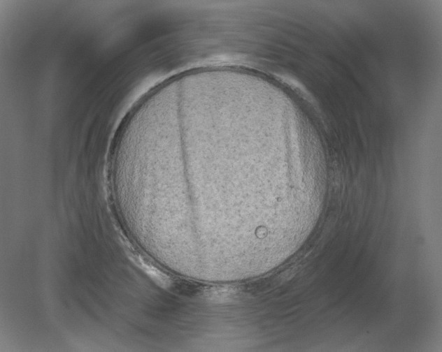 X0000080741278200701051135