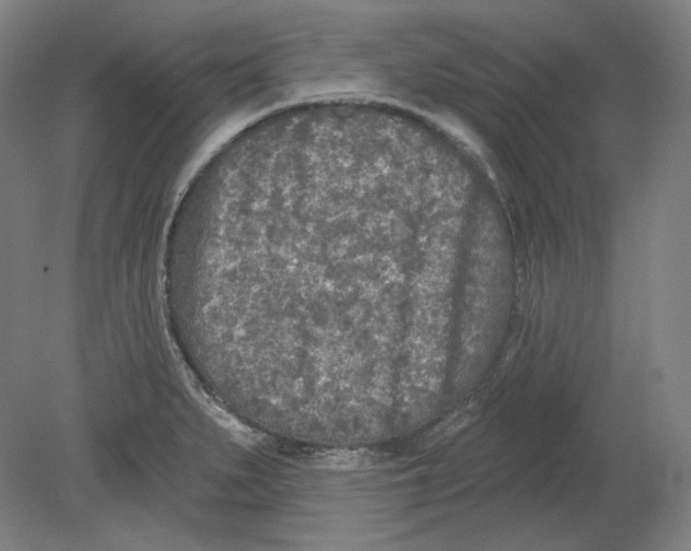 X0000080741279200701051135